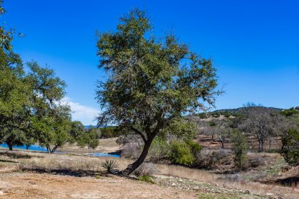 Venado-Springs-Guest-Ranch-and-Hunting-Ranch-Texas-Hill-Country-022