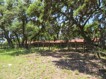 Venado-Springs-Guest-Ranch-and-Hunting-Ranch-Texas-Hill-Country-047