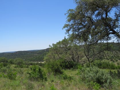 Venado-Springs-Guest-Ranch-and-Hunting-Ranch-Texas-Hill-Country-050