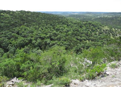 Venado-Springs-Guest-Ranch-and-Hunting-Ranch-Texas-Hill-Country-052