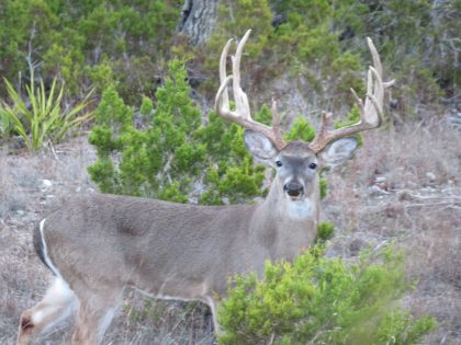 Venado-Springs-Texas-Family-Getaway-Business-Retreat-Hunting-Lodge-Camp-075